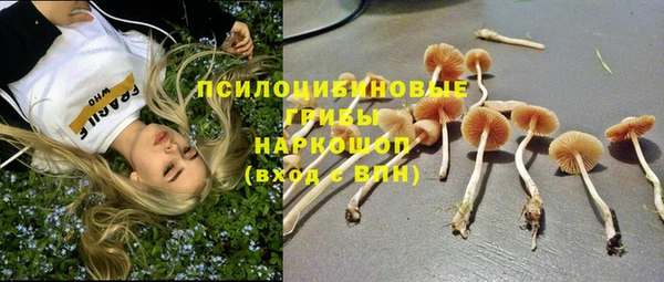 индика Абдулино
