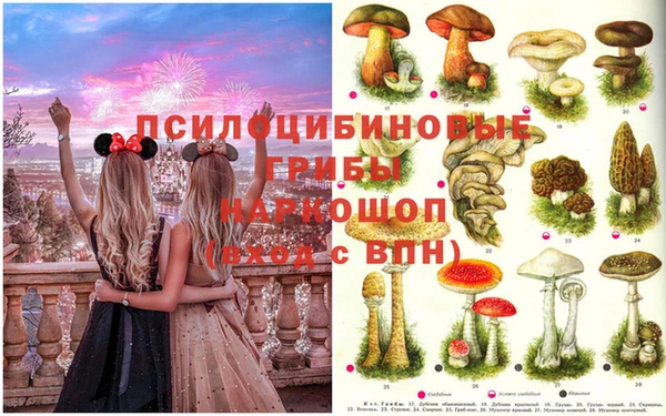 каннабис Пестово